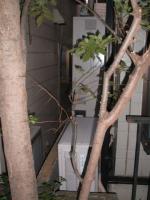 埼玉県さいたま市にお住まいの伊藤様