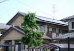 愛知県丹羽郡  長州産業　太陽光発電HIT　設置