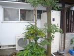 置けちゃう460Lエコキュート！