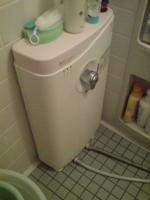 美肌っ子（ミウラ）