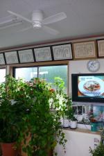 液昌TVを観賞しながら！【シーリングファン工事】【長野県長野市】オール電化・エコ電化jp【大光電気商会】