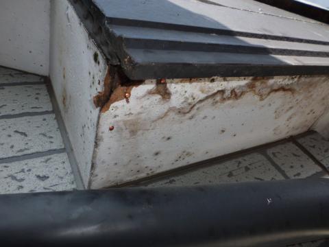 屋根塗装工事中に!!