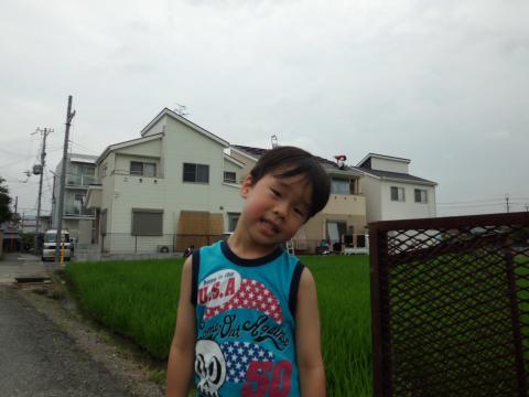 僕んち♪“凄いよ!太陽光発電所”になったんだよ^0^v