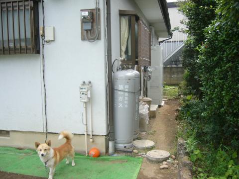 ワンちゃんも喜ぶエコキュート（高崎市Ｙさま邸）