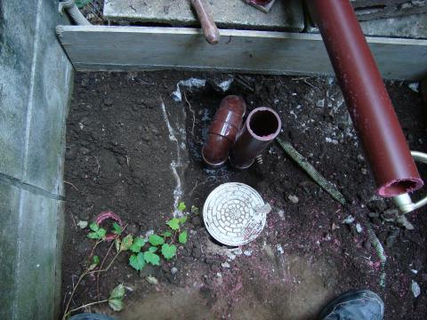 思わぬところに(東京都北区)