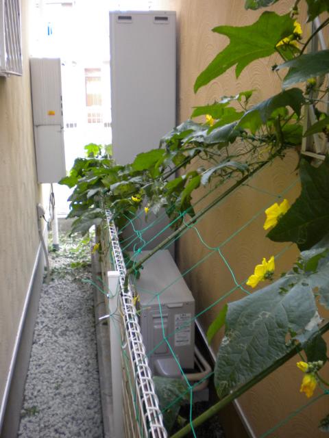 言葉は解からなくても良いものは解かります!!