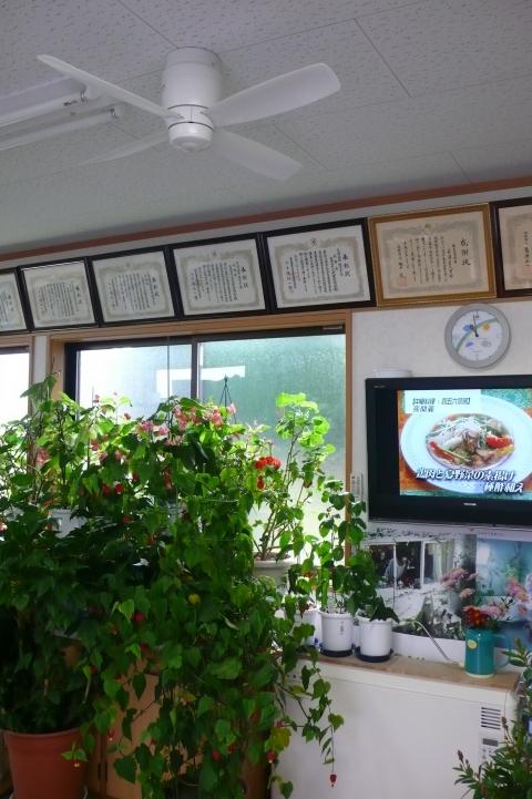 液昌TVを観賞しながら！【シーリングファン工事】【長野県長野市】オール電化・エコ電化jp【大光電気商会】