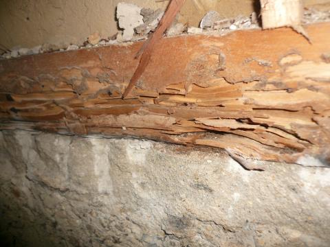 姉さん！事件です！