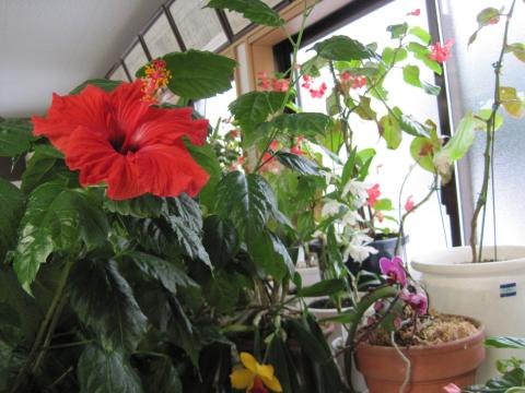 蓄熱暖房器のおかげです【蓄熱暖房機】【長野県長野市】オール電化・エコ電化ＪＰ・街の工事屋さん【大光電気商会】