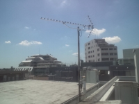 東京都渋谷区初台　集合住宅に地デジ導入工事