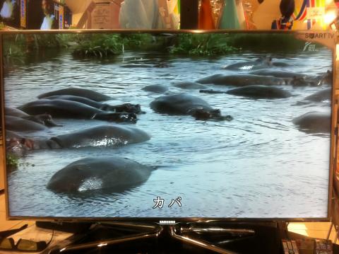 世界NO１サムスンの新製品LED液晶テレビ