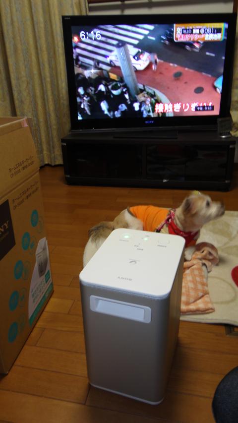 ソニーホームエネルギーサーバー入荷しました！