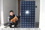 東芝太陽光発電　6.25kWシステム導入　広島県　Y様邸
