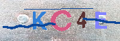 キャプチャ画像
