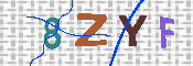 キャプチャ画像
