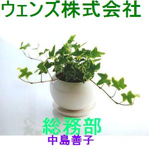 コミニティー♪