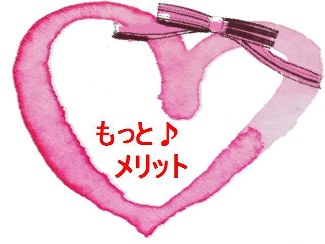 ホームエコプランナー