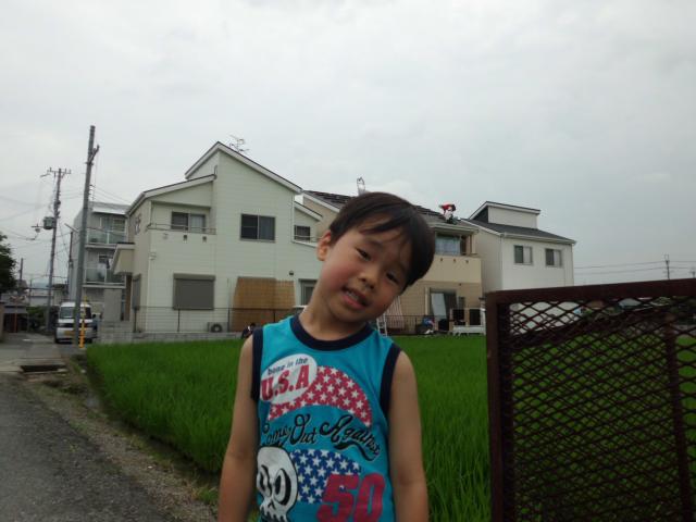 僕んち“太陽光発電所”だよ♪