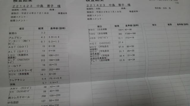 精密検査の結果用紙2部