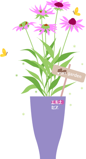 バリアー免疫力