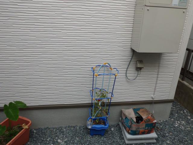 ガス給湯器（半年愛用にて・・・）