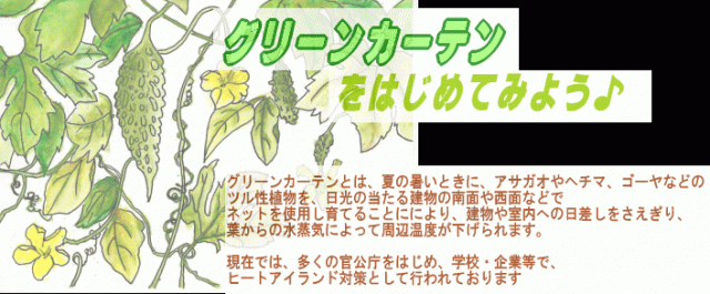 創エネ・省エネ対策