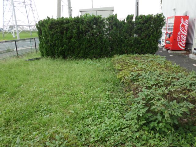 パワコン&ビューティクル設置予定場所