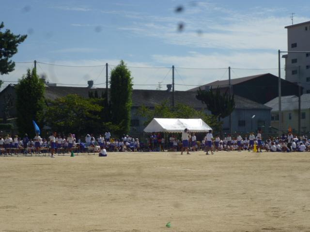 運動会日和です!