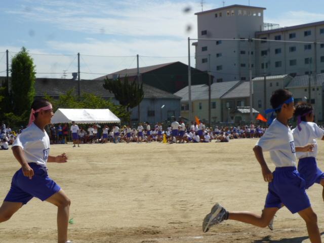 楽しそうに走る三男!