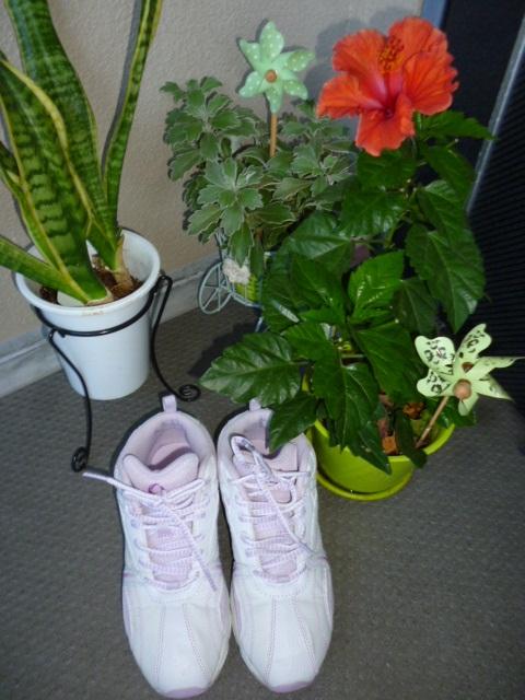 ウォーキング用のシューズ新調しました!
