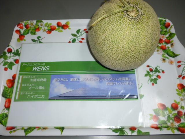 マスクメロン♪