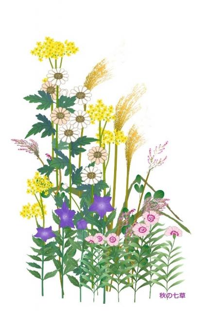 秋の七草