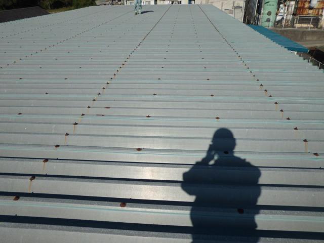 折板屋根の確認状態