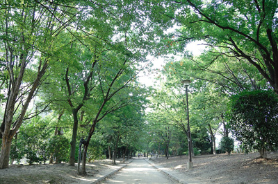 茨木市民のさくら通り沿・【ジョギングコース】