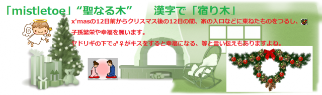 門松の前に・・・幸福を呼ぶ【宿り木】飾って!!