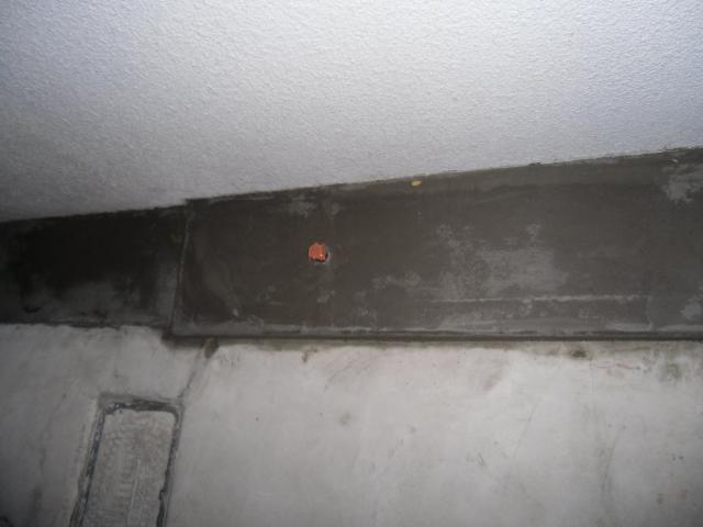 コンクリート敷き詰め作業