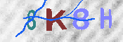 キャプチャ画像
