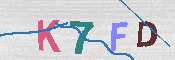 キャプチャ画像