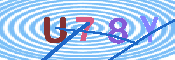 キャプチャ画像