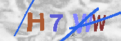 キャプチャ画像