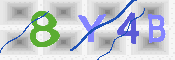 キャプチャ画像