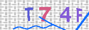 キャプチャ画像