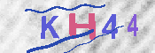 キャプチャ画像