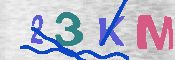 キャプチャ画像