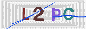 キャプチャ画像