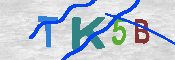 キャプチャ画像