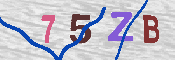 キャプチャ画像