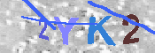キャプチャ画像